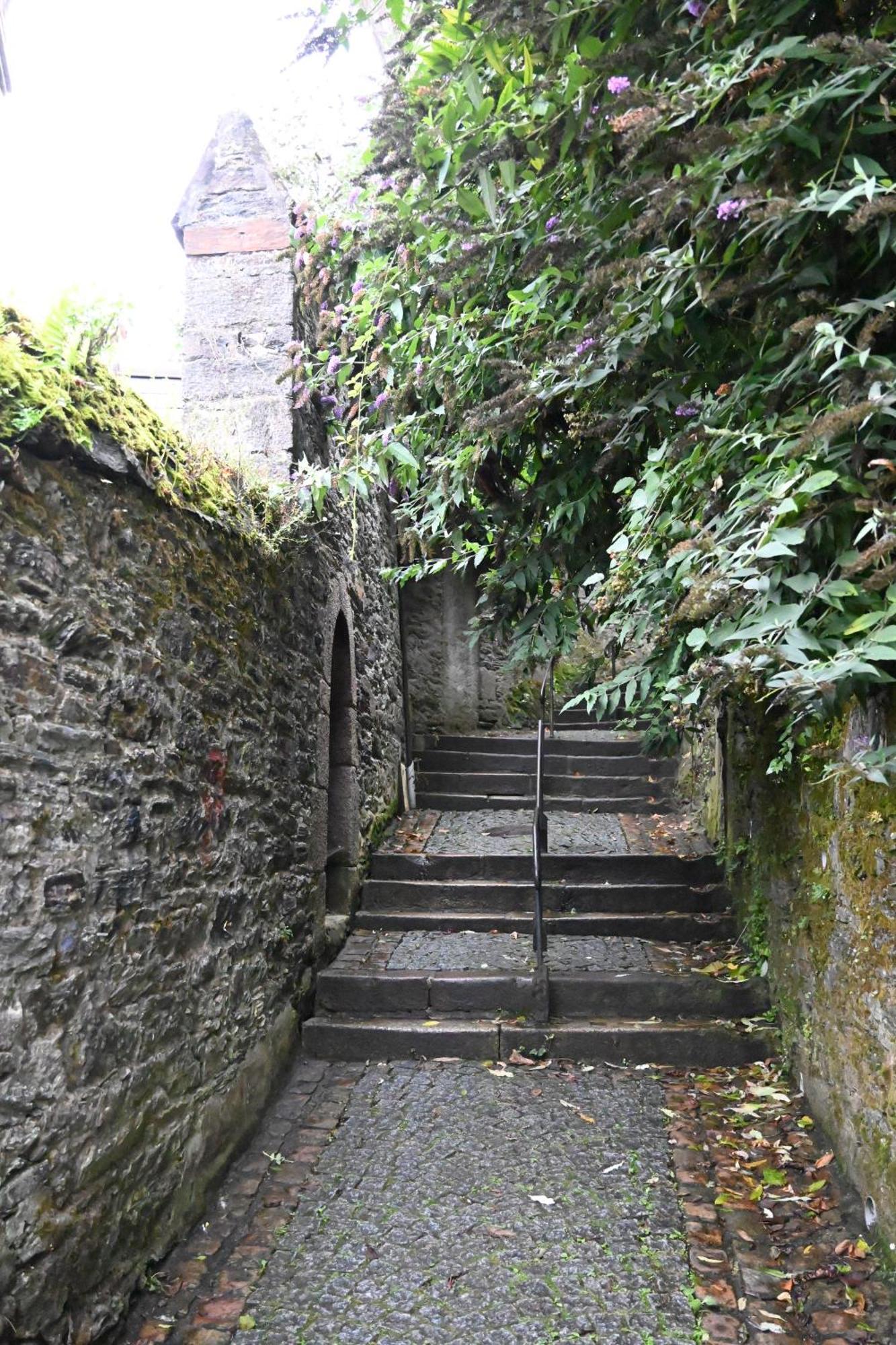 Jardin Madeleine Apartman Morlaix Kültér fotó