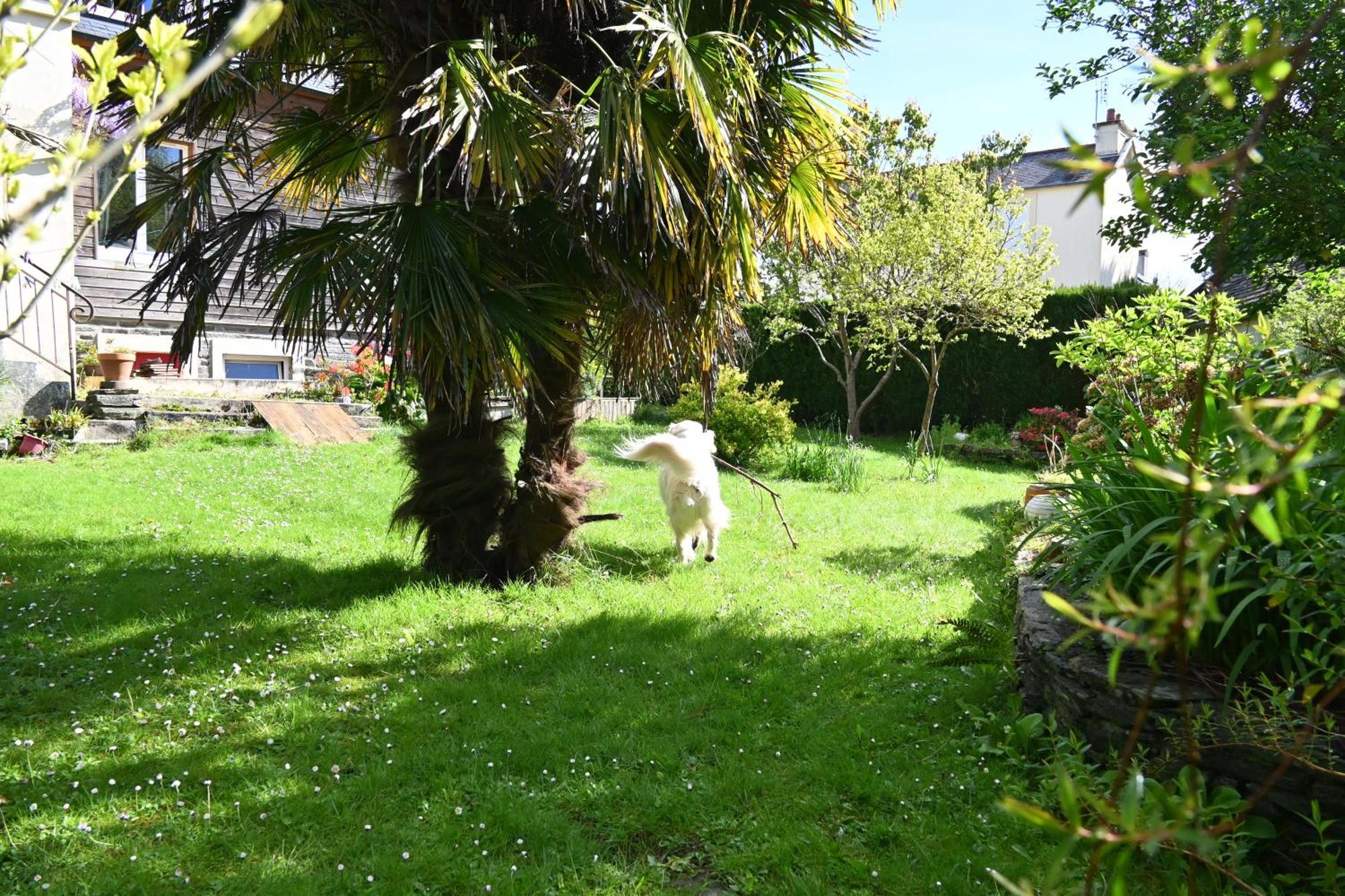 Jardin Madeleine Apartman Morlaix Kültér fotó